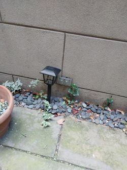 Hampton Bay Solar Lights