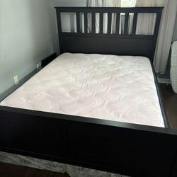 Free Queen Bed, Head Board And Foot Board, Box Spring