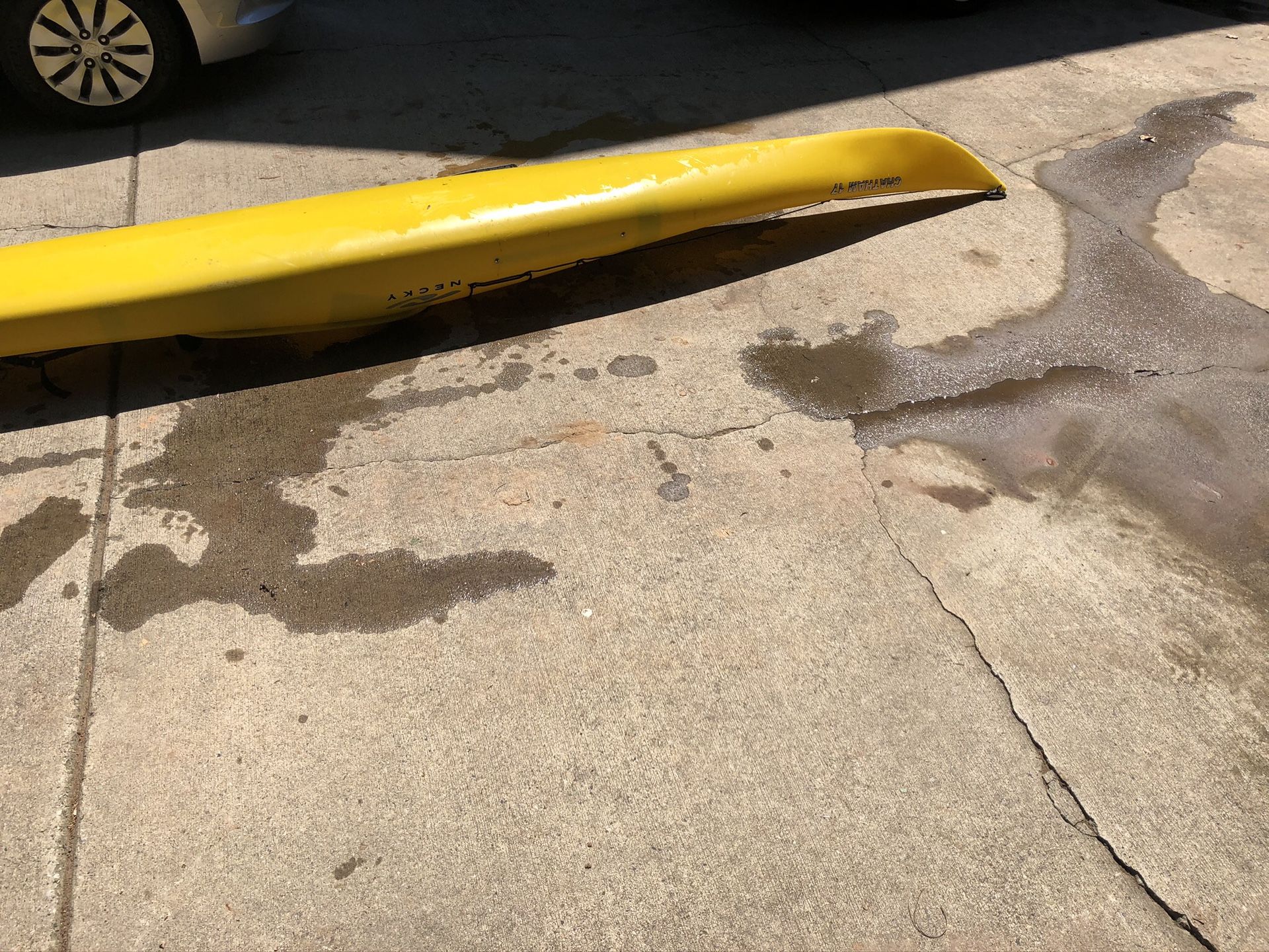 Necky kayak , 21 feet long and very narrow, obviously very fast , not good for rapids , made of fiber glass ; a real thrill for water enthusiasts.