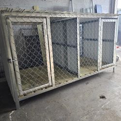 Dog Kennels Florida 