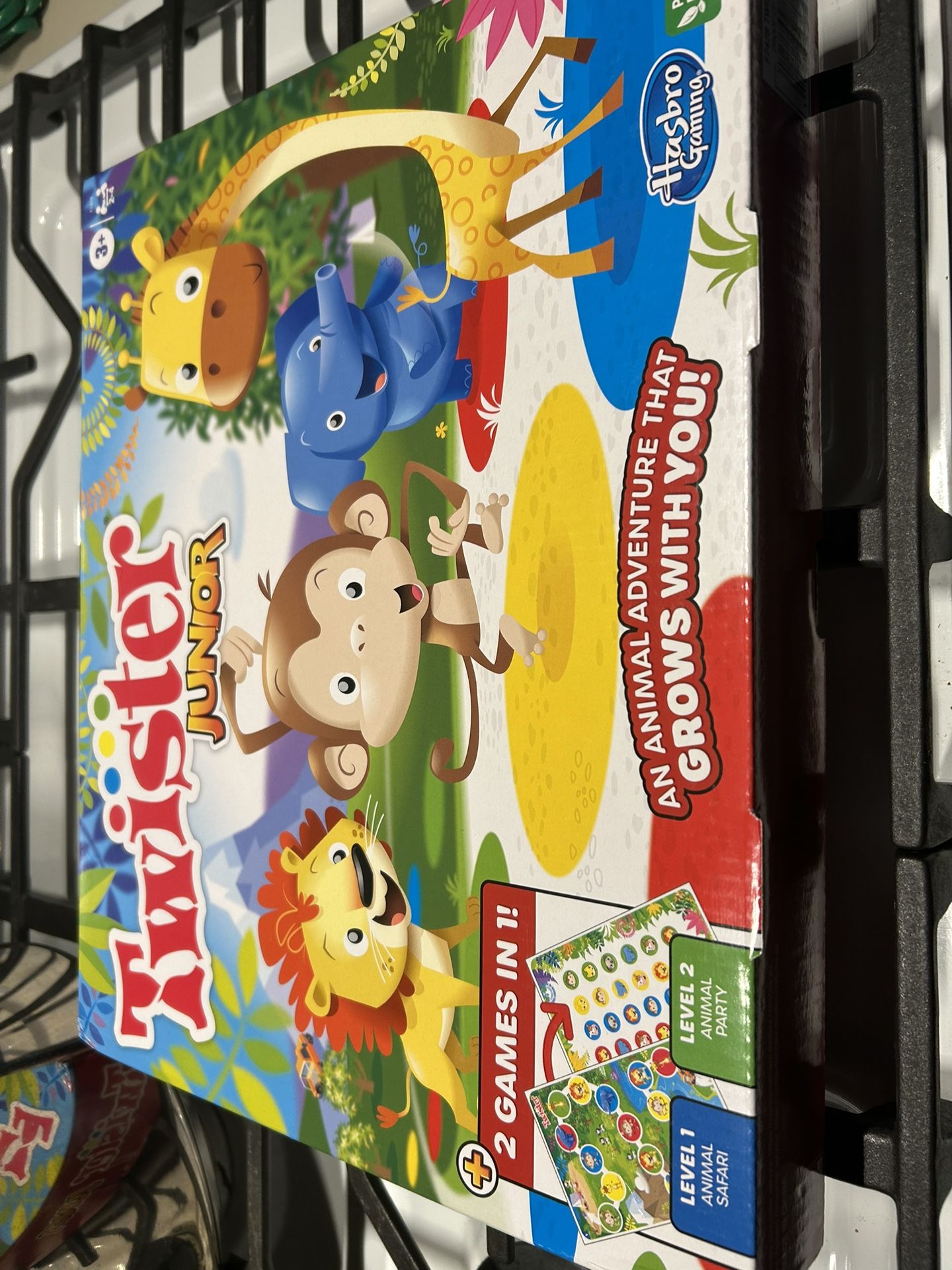 Kids Twister