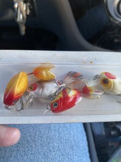 Goldfish crank baits