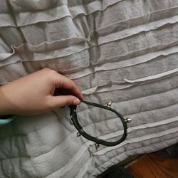 Protective Small Dog Collar