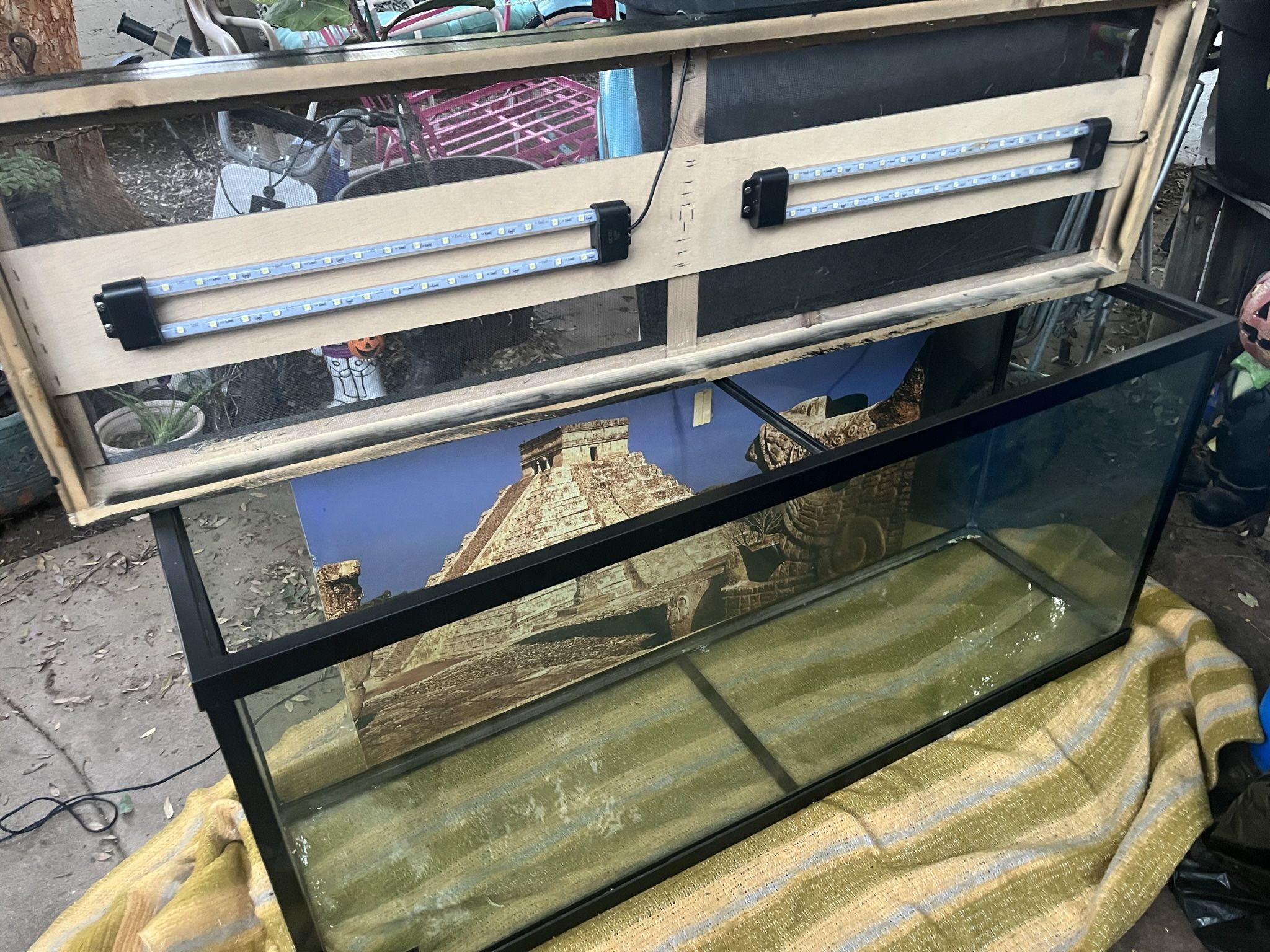 Fish Tank