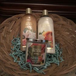 Bath and Body Works Brightest Bloom Gift Basket 