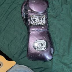 Real Cleto Reyes 16oz Gloves 
