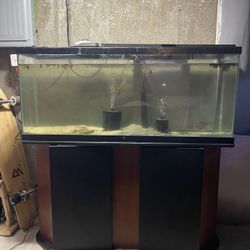 55 Gallon Tank 