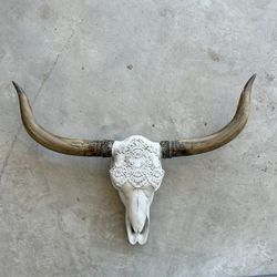Longhorn Bull 