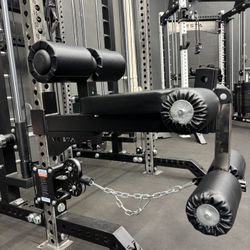 Leg Extension