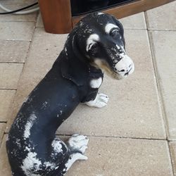 Dog Indoor/outdoor Statue In Weeki Wachee Spring Hill