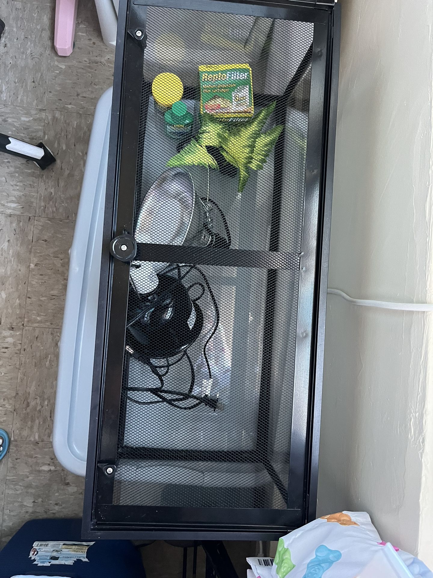 20 Gallon Tank