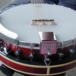 Berkeley 6 String Banjo or Banjitar (Banjo+Guitar) Remo