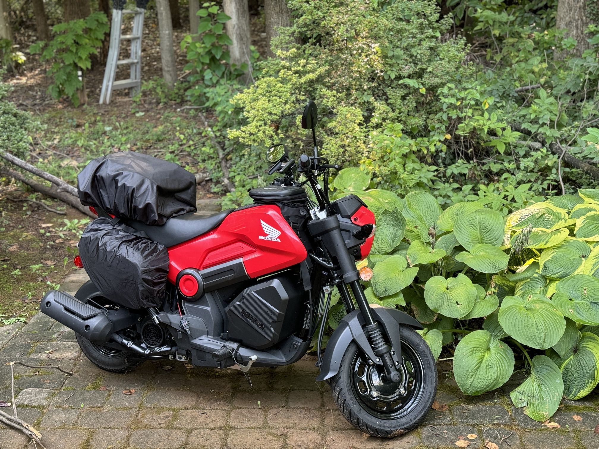 2023 Honda Navi