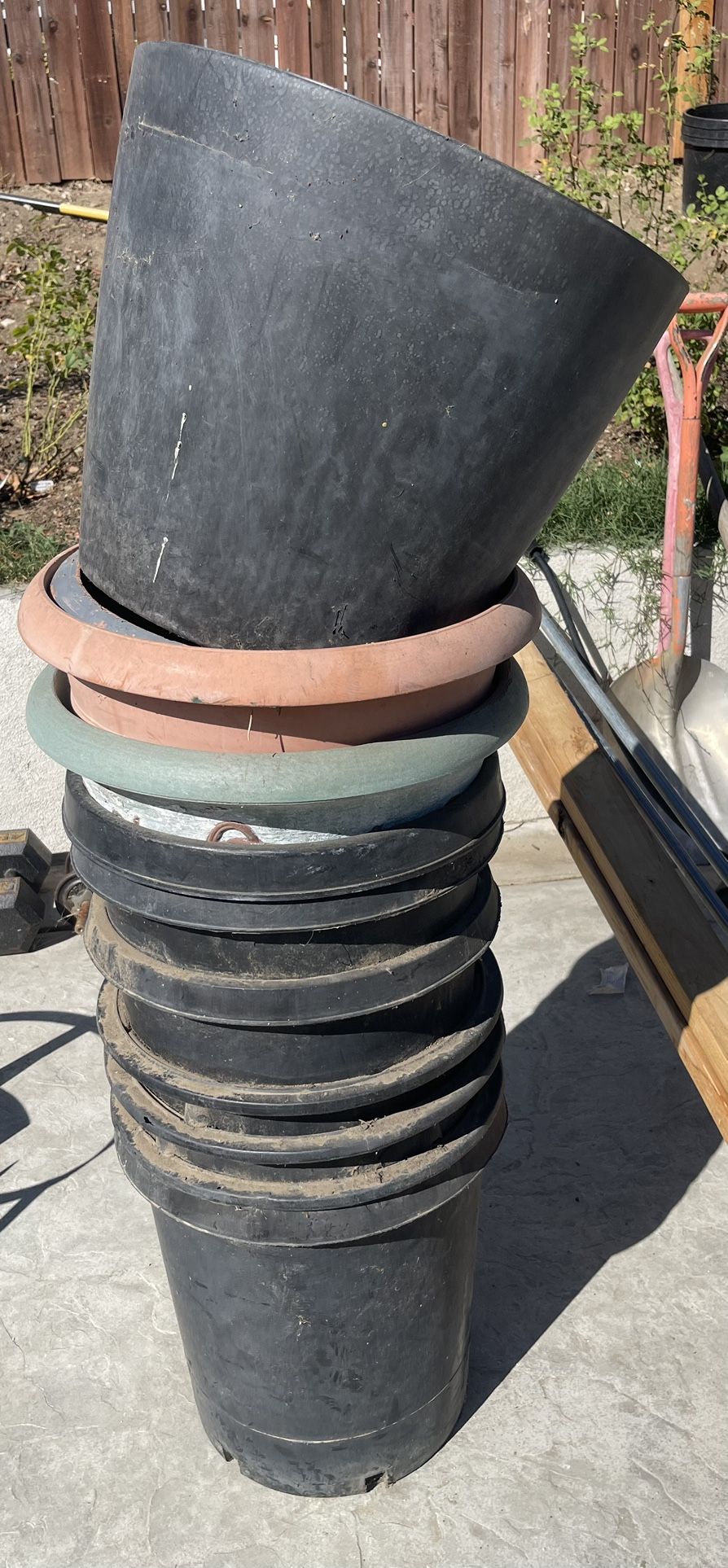 Plant Pots