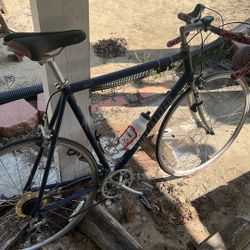 Specialized Road Bike