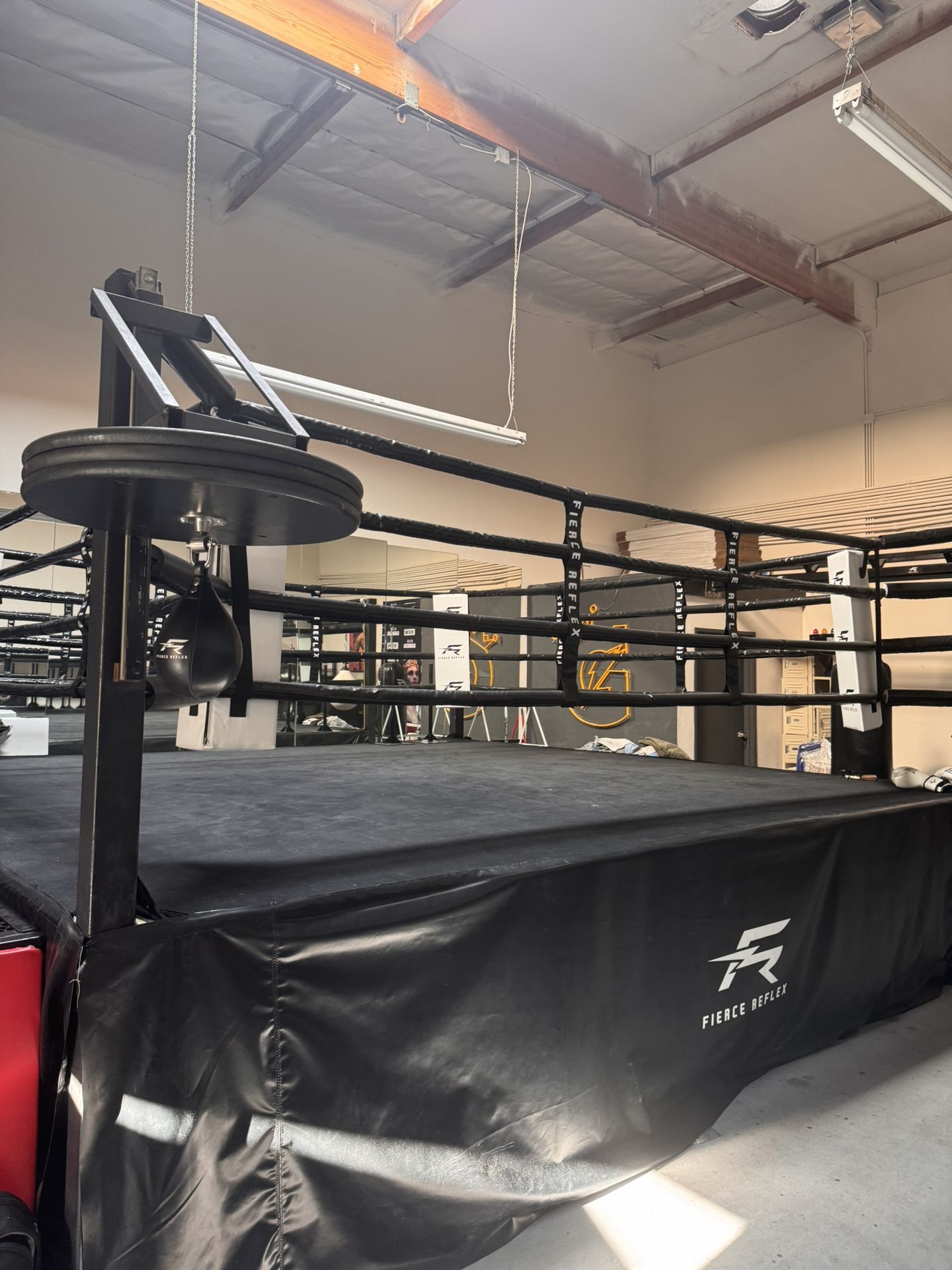 BOXING RING AND BAGS