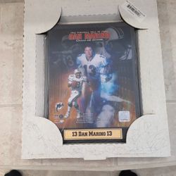 Dan Marino Class Of 2005 Hall Of FamePhoto Plaque