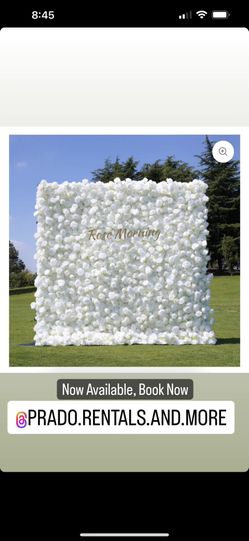 White Flower Wall Backdrop