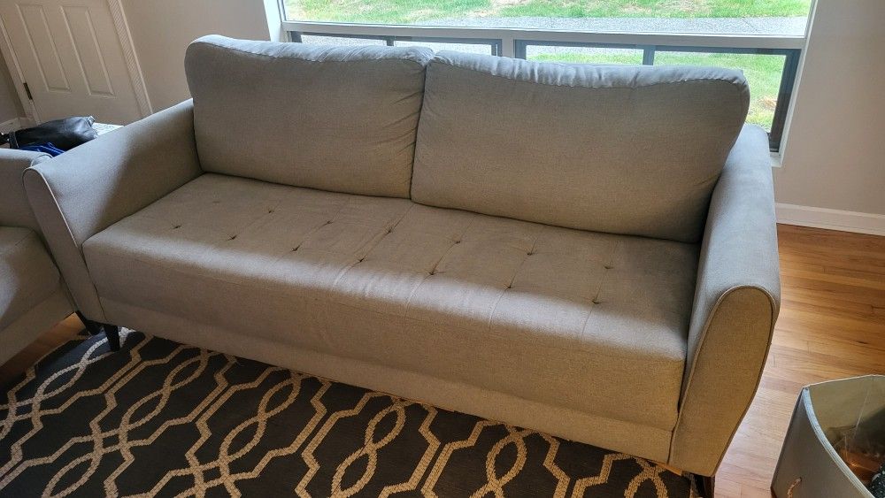 Light Grey Couch