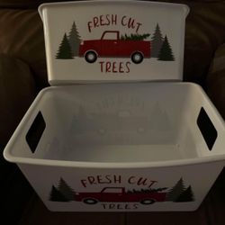 Fresh Cut Trees