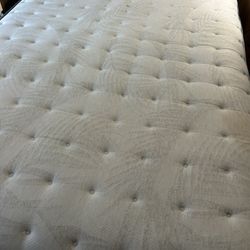 Sealy Mattress 