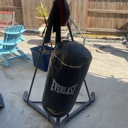 Punching Bag