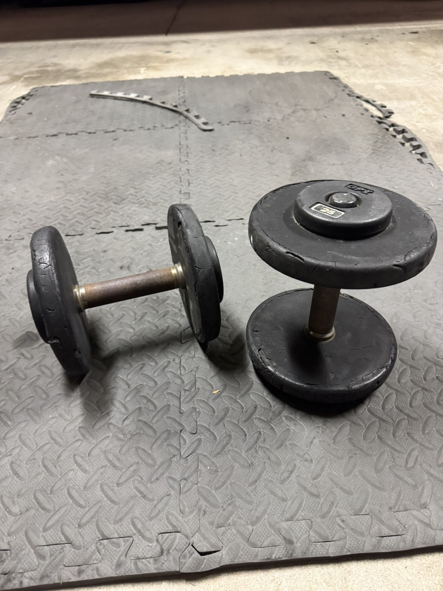 25lb Dumbbell 