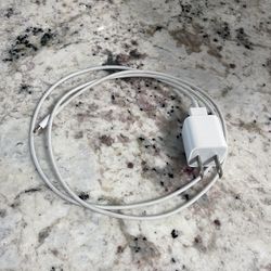 iPhone Charger