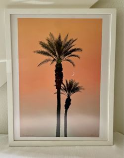 Palm Springs Sunset Moon Photograph by Guillermo Zuñiga