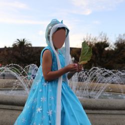 Elsa Dress ( Size 5-6 Years)