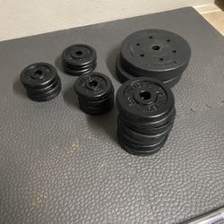 Weider And Tornado Weight Plates 