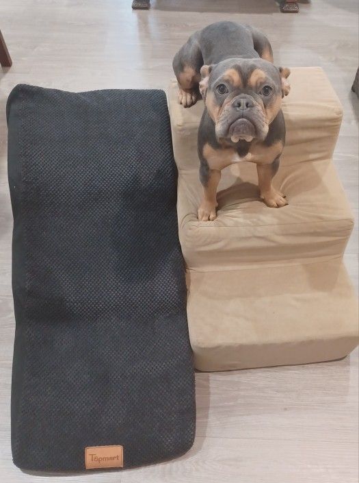 pet stairs