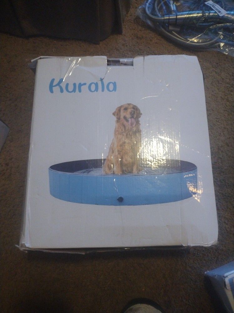 Dog Pool