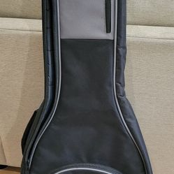 Road Runner Gig Bag RR1AG