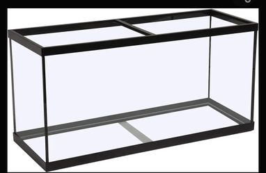 Aquarium Or Fish Tank