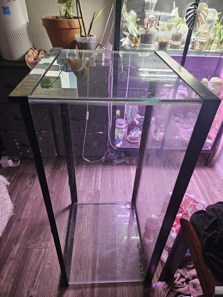 40 Gallon Tank