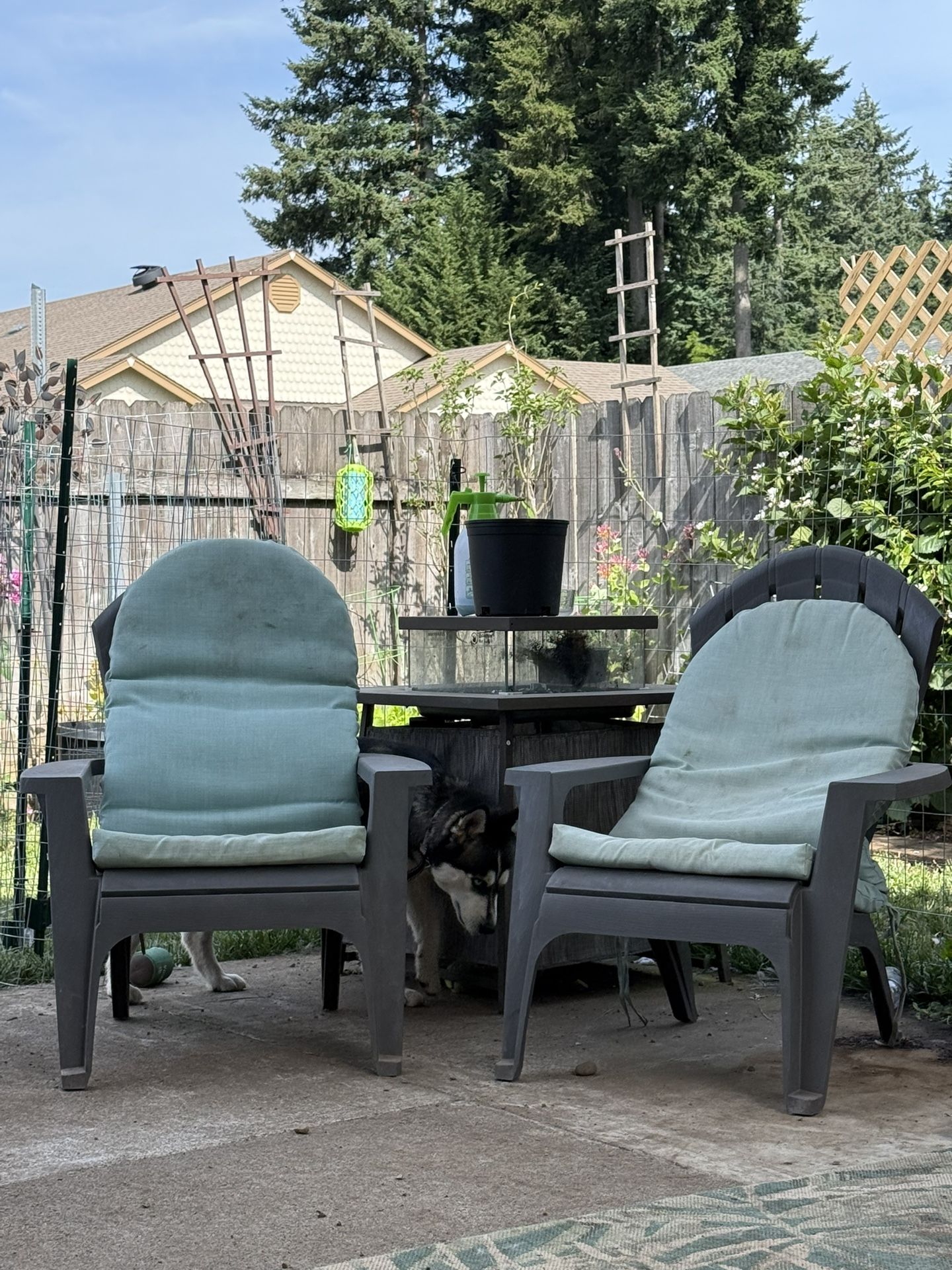 Grey Painted Plastic adirondack chairs With Cushions