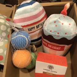 Birthday Pet Toy Bundle 