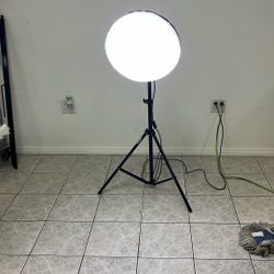 Studio Lightning Bulds New