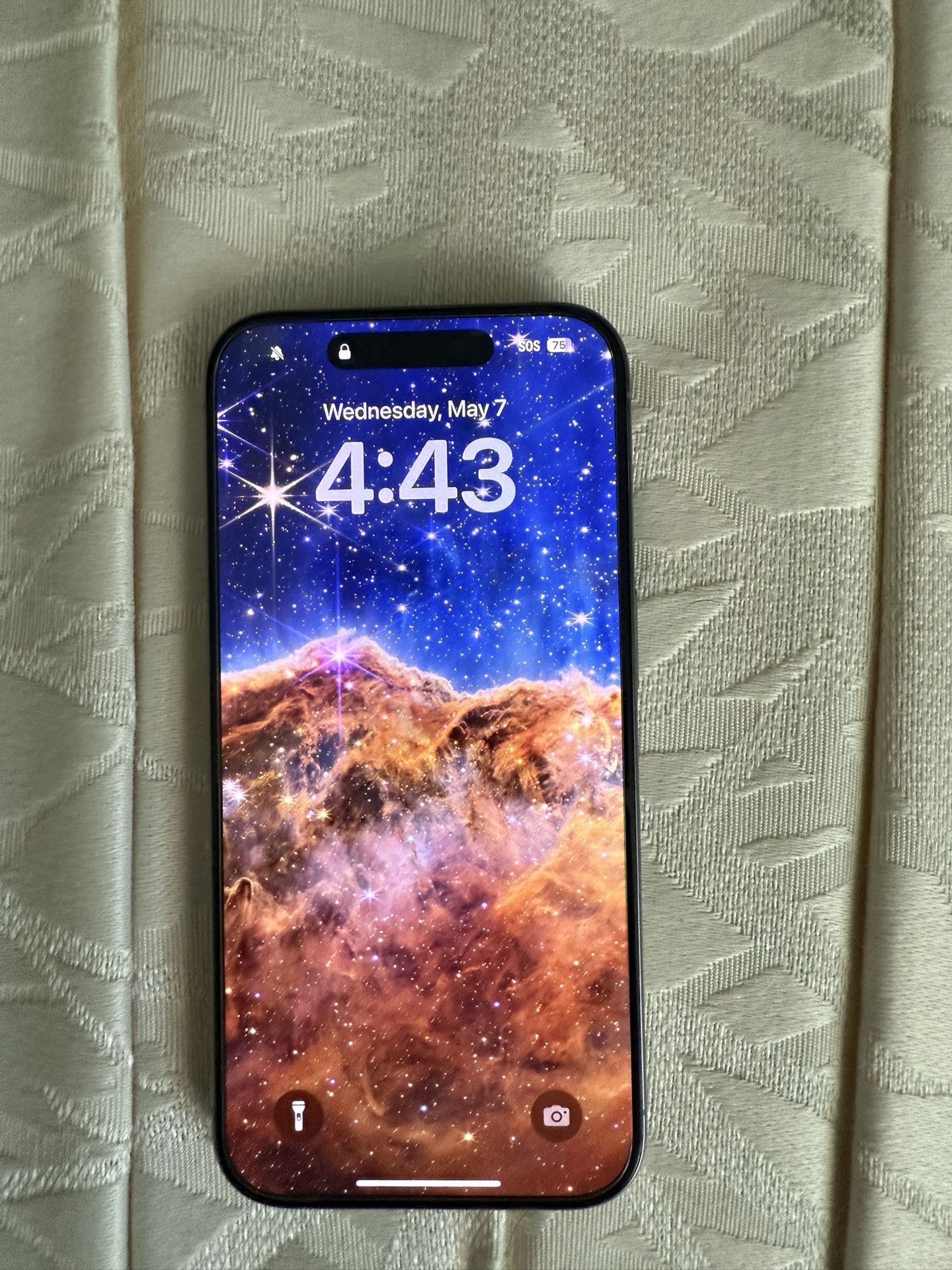 iPhone 15 Pro (256 GB)