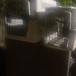 Dog Cat Pet Carrier 