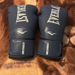 Everlast Elite Boxing Gloves 16oz
