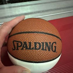 Mini Signature Basketballs 