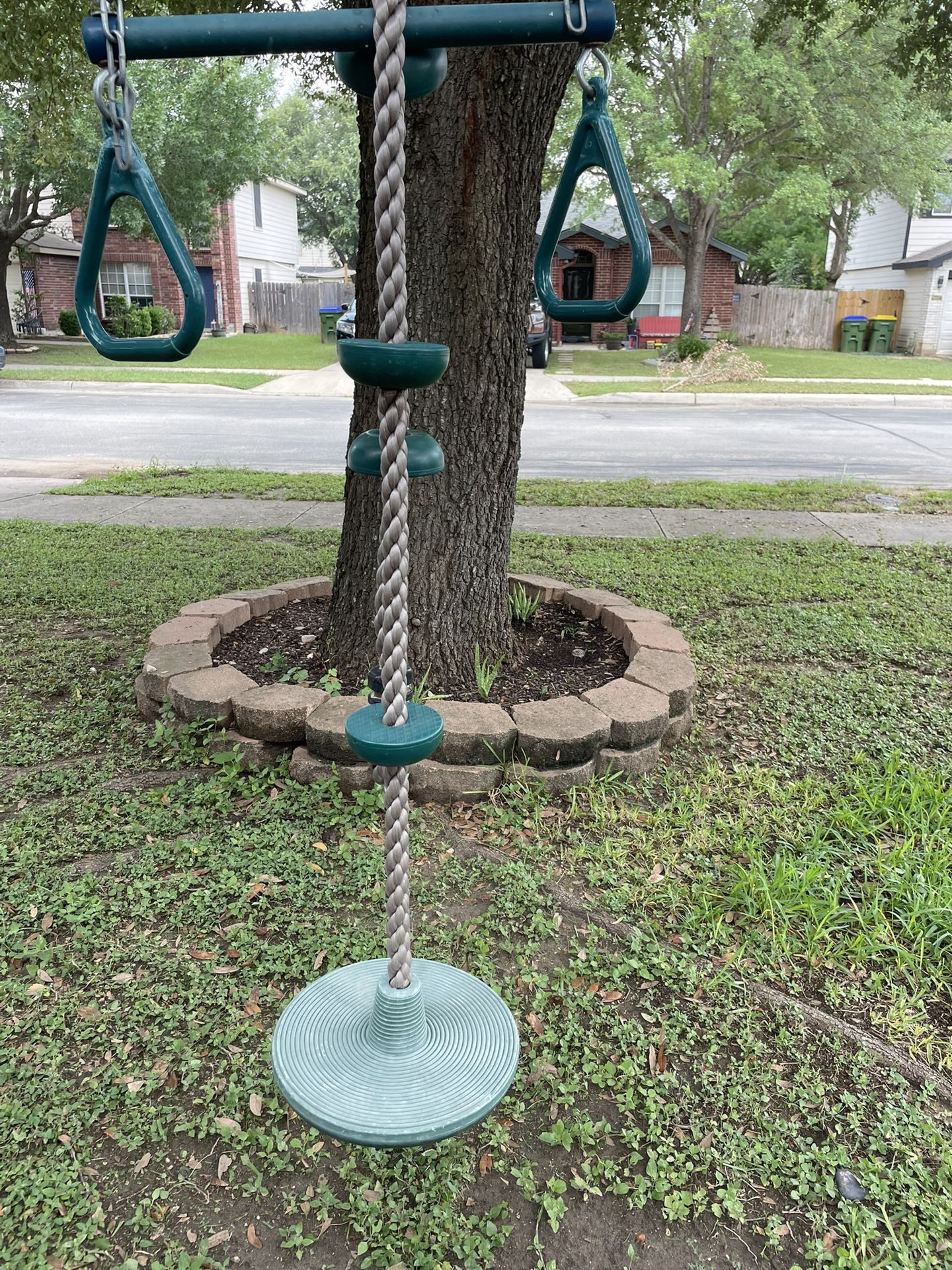 Tree Swings