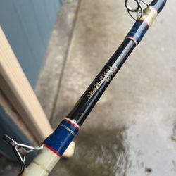 Calstar BT665h Fishing Rod