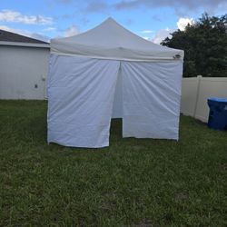 10 X 10 Canopy With Walls 