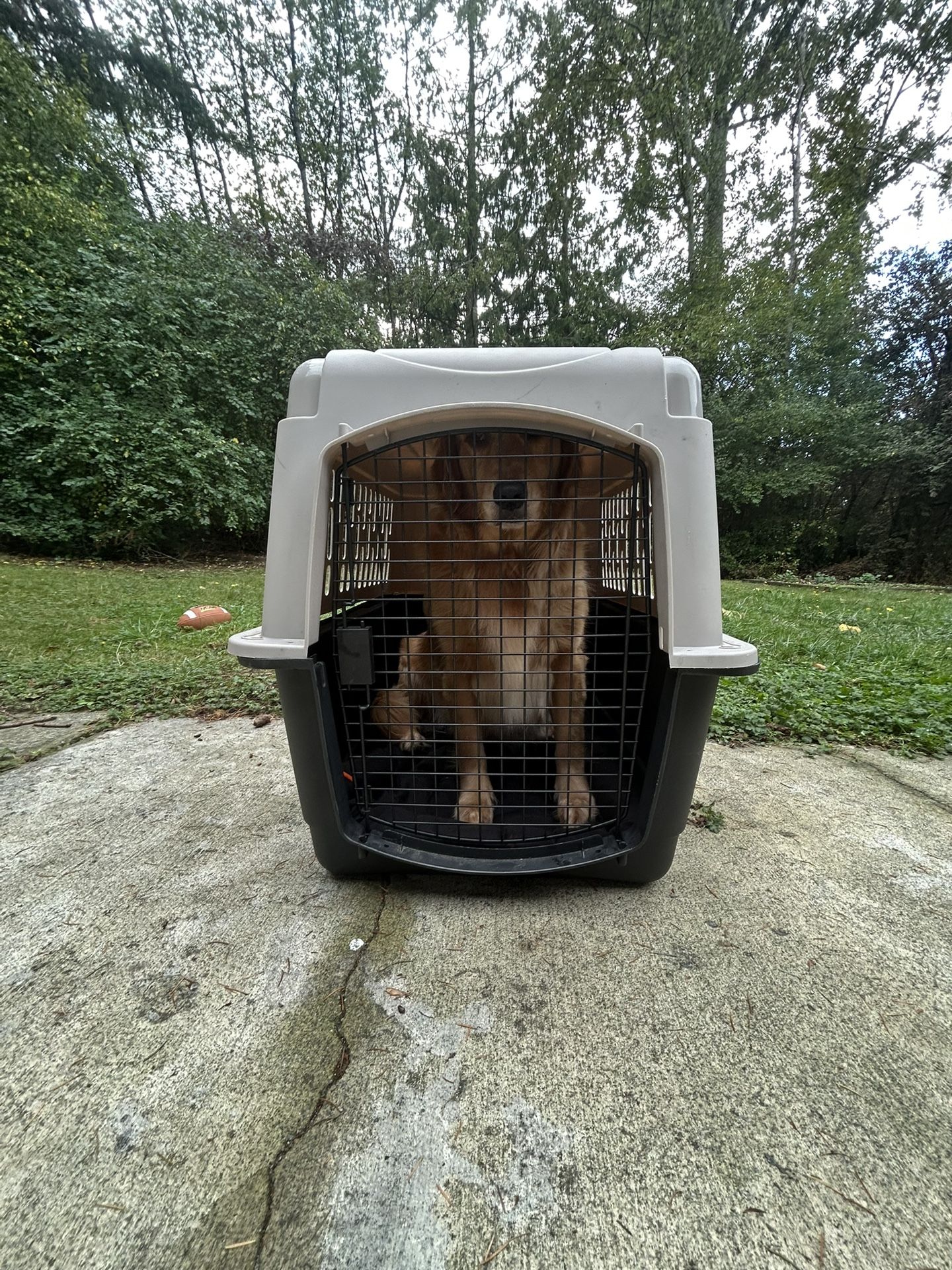 Dog Cage