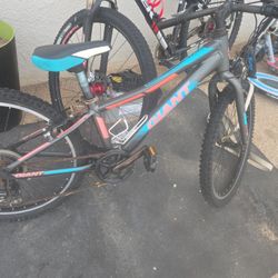 Giant Bike 20"
