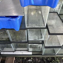 Fish Tanks Of All Sizes 