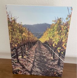 Canvas Wall Art